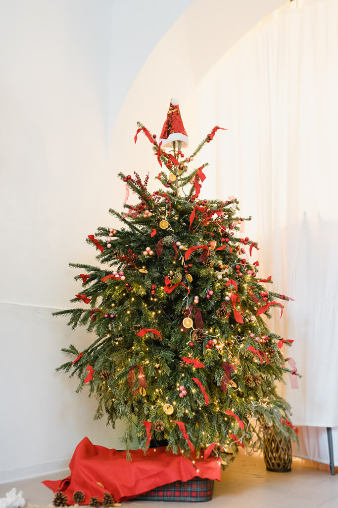 fotografo natale